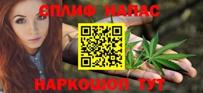 гашик Новозыбков