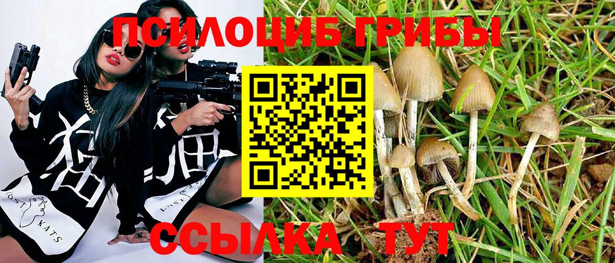 дарнет шоп  Псилоцибиновые грибы прущие грибы  Вход с VPN  Галлюциногенные грибы Magic Shrooms  Ржев 